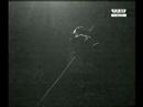 Mister Puma � BERCY