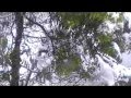 la neige ain drahem 2012