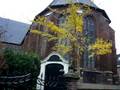 Ginkgo and church of the Late Middle Ages