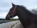 alco-ik-zal-je-zo-missen.html
