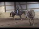 Lead By Example - For Sale
