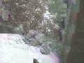videos de snow in belgium