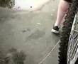 Pretty Pathetic! Skateborading!!! NICOLES FALL