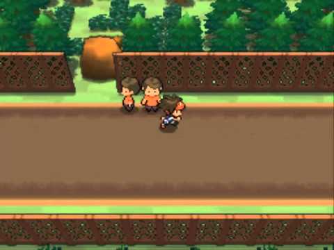 pokemon black pokemon black