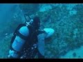 YouTube - Cobia and Bull Shark