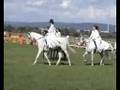 videos de Kinderpferdefest: Show Pferdepark