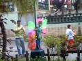 videos de mariposas