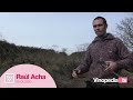 CAPÍTULO1 LA PODA 