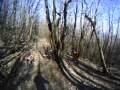 090322 014 ADVENTURE & BIKE MTB TEAM - USCITA SUI COLLI EUGANEI CON I LAZZARINI