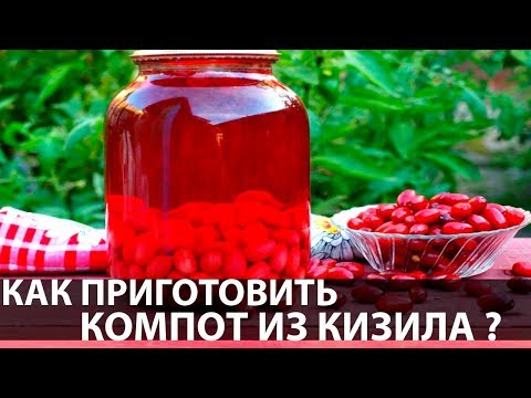 Как приготовить компот из кизила | Кизиловый Компот | Вкусный Рецепт Кизилового Компота