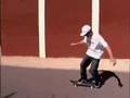 How to shuv-it and pop shuv-it