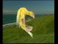 Naturaves - (Postura) Jiboso Español (2).avi
