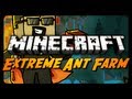Extreme Ant Farm Survival - Ep. 12 - Prepping for Certain Death!