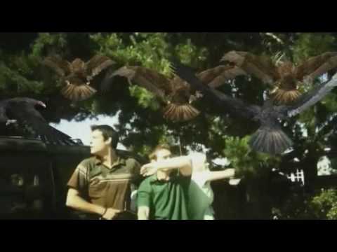 Birdemic-The most epic scene ever filmed