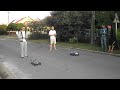 Hpi Blitz Ese Flux Vs Hpi  Flux Hp Www.hpi-racing.ro