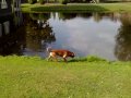 Boka 27092009097 0030.mp4