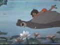 Baloo  El libro de la selva