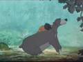 Baloo  El libro de la selva