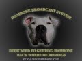 HAMBONE UPDATE 03/06/2008