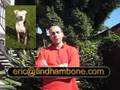 HAMBONE UPDATE 03/06/2008