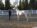 videos de baronweb