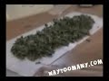 these dudes from waytoomany.com roll the biggest blunt i've seen.