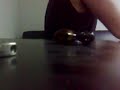 toda la caca apesta