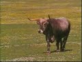 Croacia.- Istria, Kvarner, Gorski Kotar & Lika