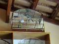 videos de Tela Quente Trinca Ferro Repetidor.mpg