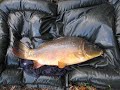 amazing georgian folk music!beautiful wedding song!and my terrible carp fishing   video:)
