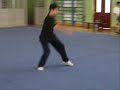WUSHU henan team 2006