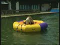 Biotop Swimming-Teich / Natural Pool Release 2 Biotop Swimming-Teich / Natural Pool Release 2