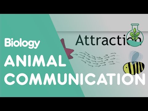 Animal Communication - How do animals communicate in the environment? And how does this affect their behaviour? Learn about animal communication in this GCSE / K12 Ecology video fr...