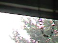 Dumb,Giant,Horsefly in my garage
