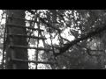 dr-carpediem-motivates-the-ffa.html