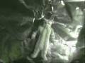 videos de I Hate Ewoks (BeatBox BoBa Fett Remix) by Crooknose