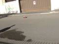 videos de max e la sua moto.MPG