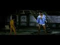 kung fu: bruce lee vs  kareem abdul jabbar
