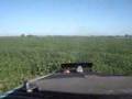 fumigacion aerea