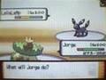 Pokemon Diamond Narrated WiFi Battle vs. Laura C. Walker