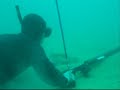 Spearfishing Puerto Rico Spearfishing Puerto Rico