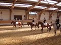Dressur Turnier Erkrath