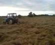 Rowing haylage with the Ford 4600