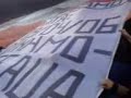 Coregrafie si torte peluza sud Steaua