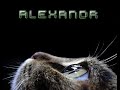 Dj Alexandr (Lets go & Satisfaction).wmv