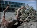 Hospital de chuquicamata destruccion