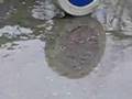 Regn