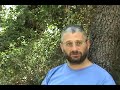סדנת החוזה