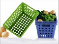 Make your own bioplastic (extended version)