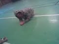 cp �vning p� idrott